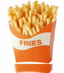 REG FRIES